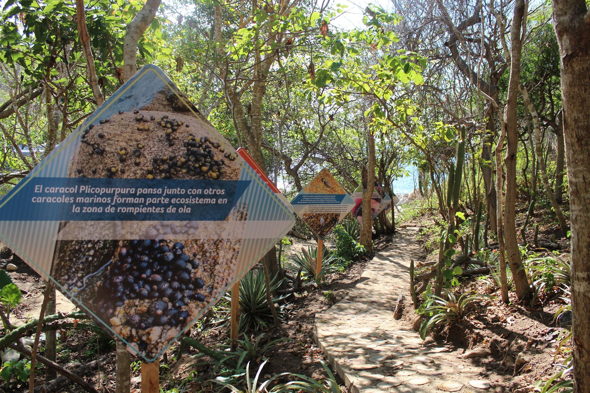 Isla Natura Beach Huatulco サンタ・クルス・ウアトゥルコ エクステリア 写真